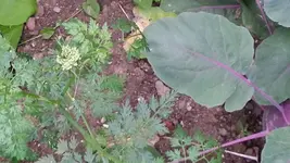 20150714_210230.jpg