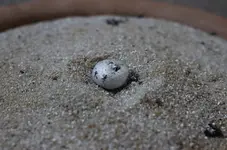 tropfen.webp