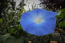 DSCF2182 (2).webp