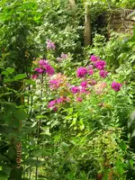 IMG_5536.webp