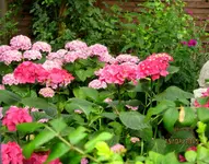 IMG_5540.webp