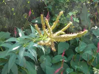 DSCN9460.webp