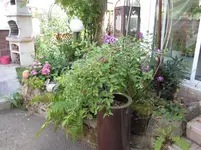 IMG_0503.webp
