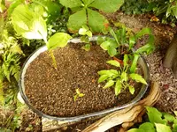 Zinkwanne_1.webp