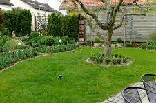 DSCF1623.webp