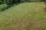 DSC00274.jpg