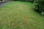 DSC00279.jpg
