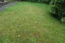 DSC00279.jpg