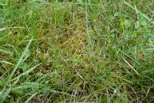 DSC00280.webp