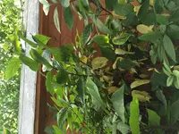 image.webp