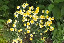 DSCF2147.webp