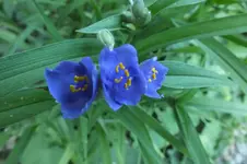 DSCF2074.webp