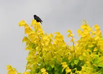 Dezember 2010 087v.webp