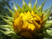DSCF1458.webp