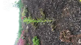 20150715_100154.webp