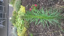 20150715_100242.webp