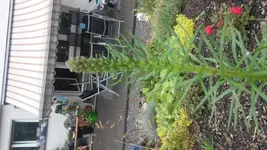 20150715_100249.webp