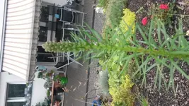 20150715_100252.webp