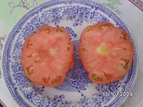 Brn (4).webp