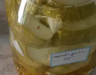 fruchtfliege.webp