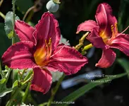 IMG_2307.webp