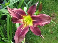 good morning_1024x768.webp