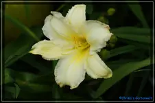 Big Smile.webp