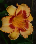 6Allfireup.webp