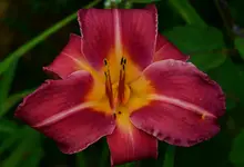 6SierraMadre.webp