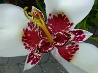 DSCF9192.webp