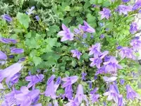 Bilda006.webp