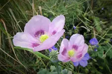 DSCF2172 (2).webp