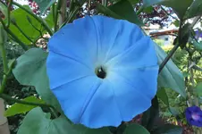 DSCF2245.webp