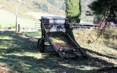IMG_0315v.webp