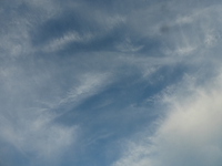 P1390339.webp