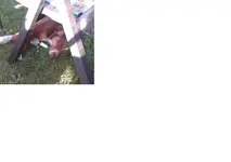 Unbenannt 1.webp