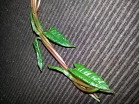 20150629_210459.webp 20150629_210459.webp