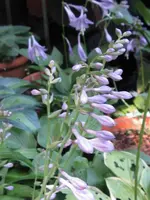 030_576x768.webp