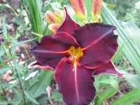 029_1024x768.webp
