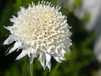 DSCN9470.webp