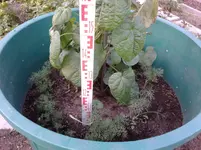 20150717_194522.webp