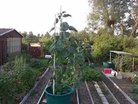 20150717_194441.webp