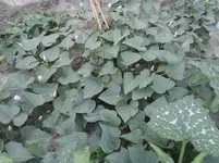 20150717_172847.webp