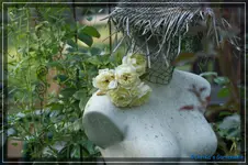 comp_DSC04193.webp
