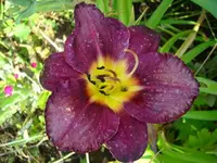 k-DSCI3583.webp