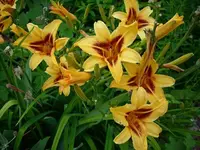 k-DSCI3588.webp