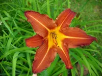 k-DSCI3591.webp