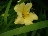 k-DSCI3597.webp