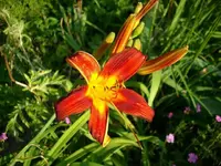 k-DSCI3603.webp