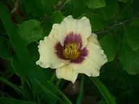 k-DSCI3606.webp